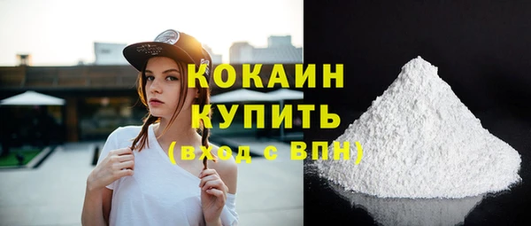 мет Няндома
