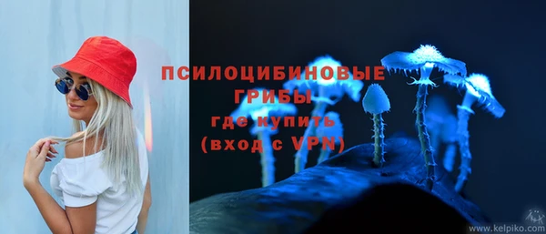 круглые Алексеевка