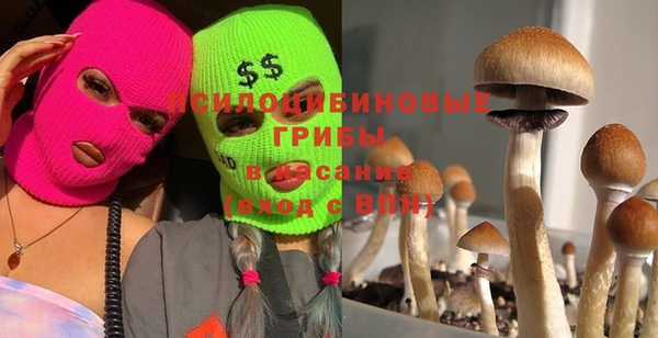 Альфа ПВП Алексин
