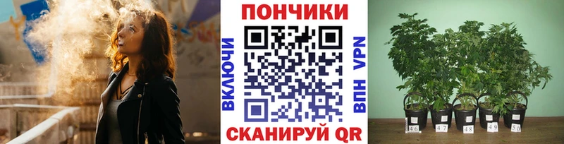 Канабис индика Нефтекумск
